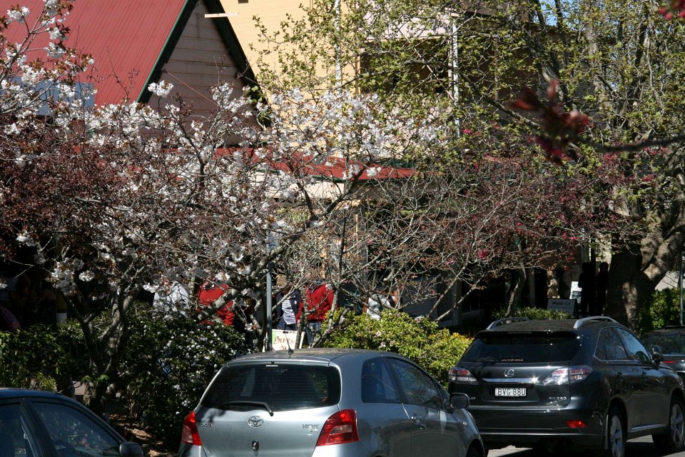 IMG 6178-Leura-22Sept-1920