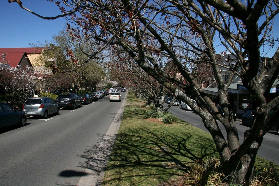 IMG 6179-Leura-22Sept-1920