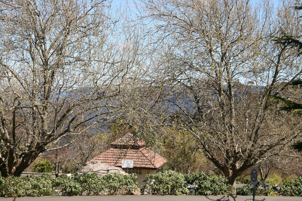 IMG 6226-Katoomba-22Sept-1920