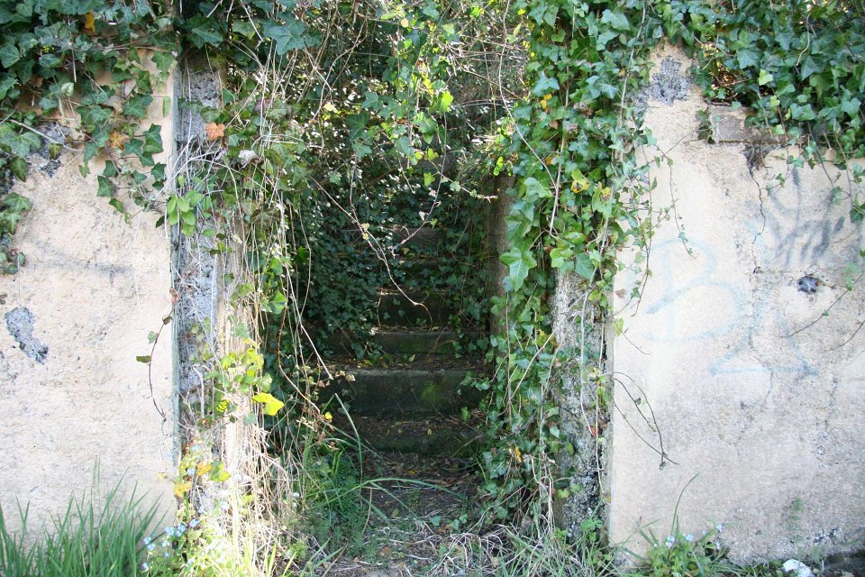 IMG 6250-Katoomba-22Sept-1920